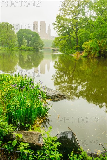 Central Park, New York City. Pond in central park.