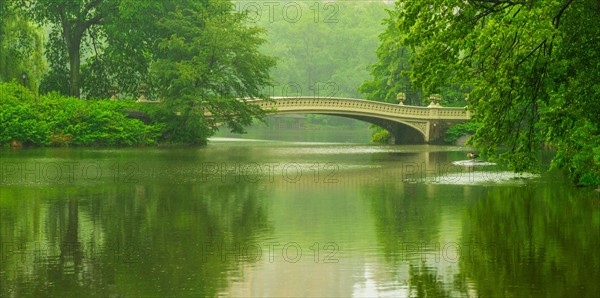 Central Park, New York City. Bridge in central park.