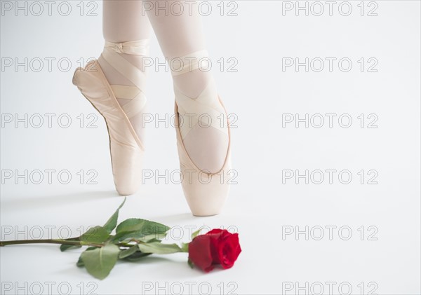 Close up of girls (16-17) ballet shoes with red rose