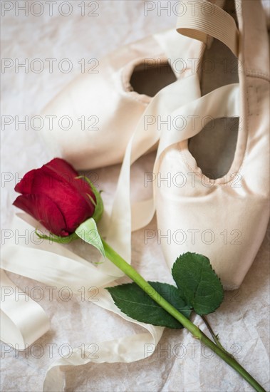 Studio Shot of pair of ballet shoes and red rose