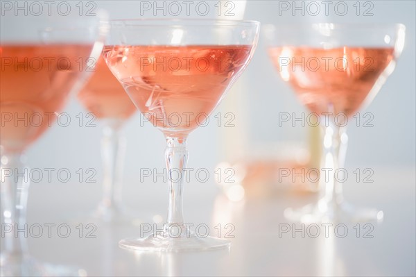 Studio Shot of rose champagne