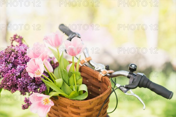 Close-up of flowers in basket