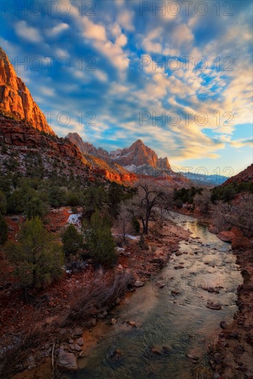 Zion National Park