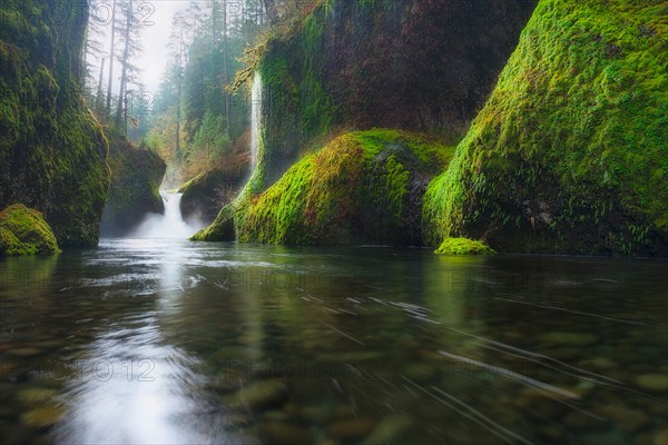 Punchbowl falls