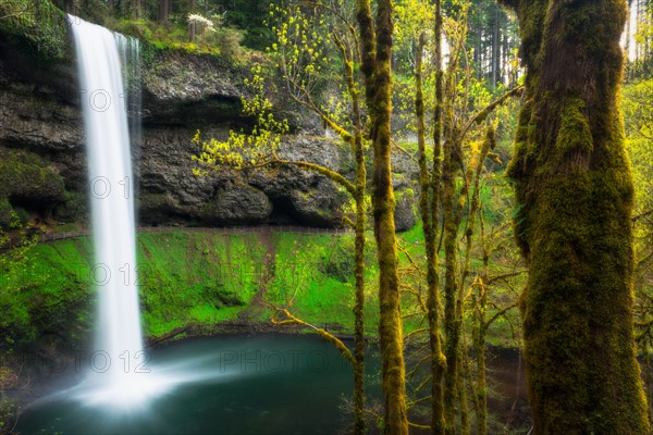 Silver falls