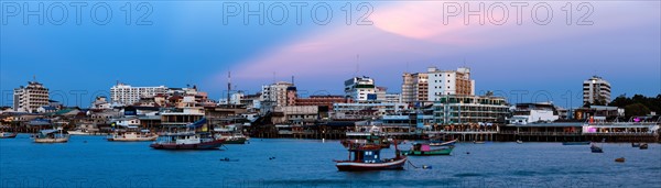 Panoramic cityscape