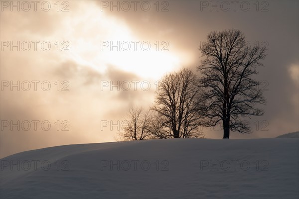 Tranquil winter scene