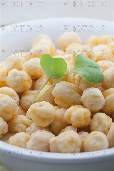 Close-up of chickpea in bowl