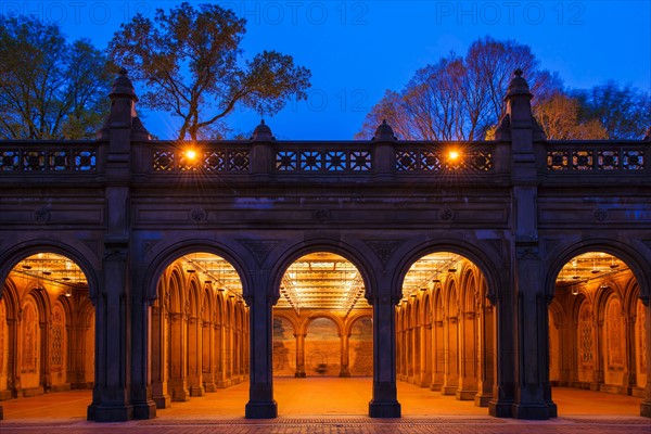 Bethesda in Central Park.