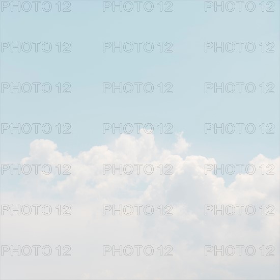 Sky with puffy clouds.