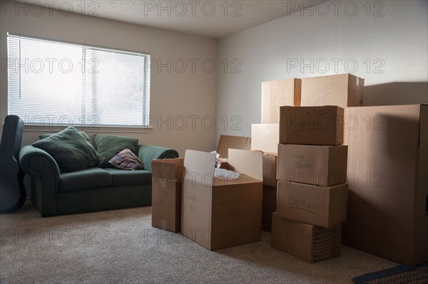 Living room filled with cardboard boxes