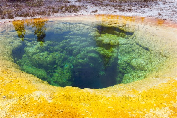 Upper Geyser Basin