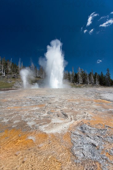 Upper Geyser Basin