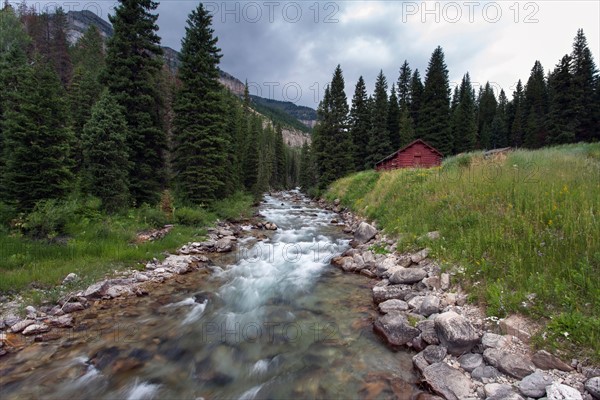 Creek in National Forrest