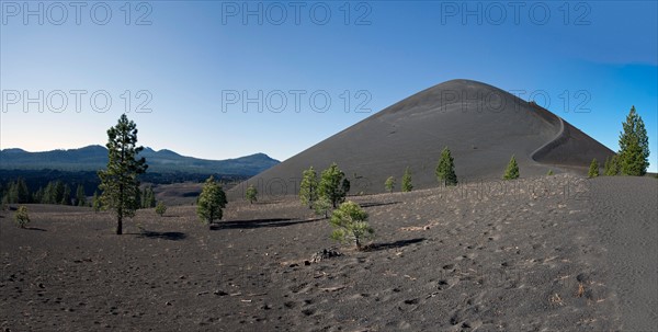 Cinder Cone