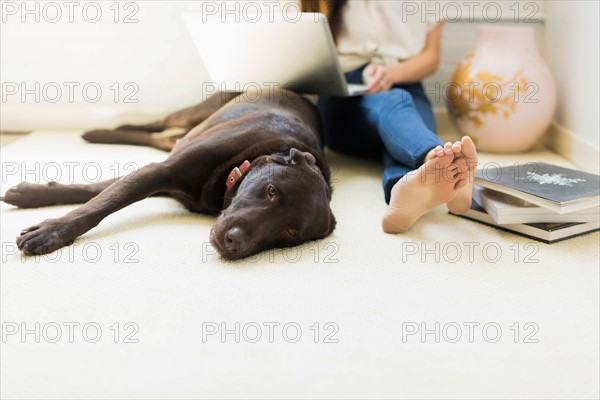 Young woman with labrador