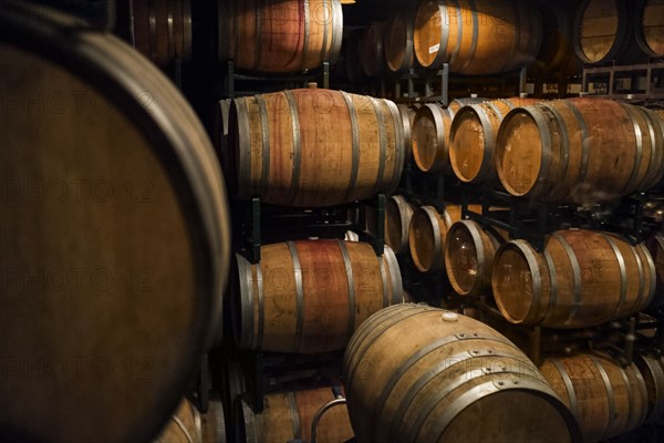 Wine cellar.