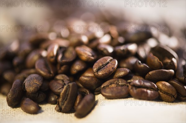 Studio Shot of roasted coffee beans.
Photo : Jamie Grill
