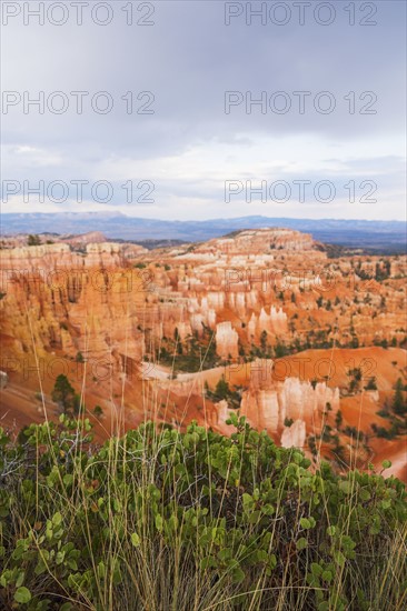 Elevated view of canyon. USA, Utah, Bryce Canyon.
Photo : Daniel Grill