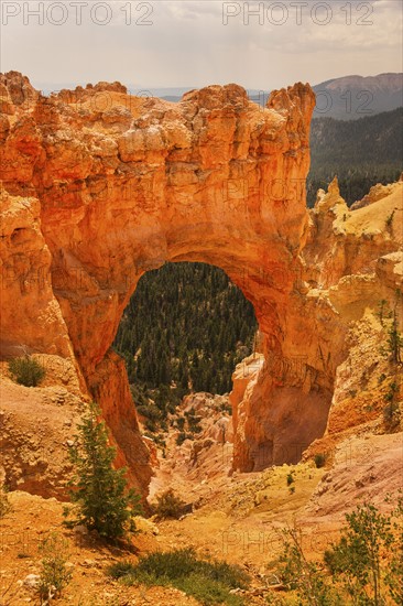 View of natural arch. USA, Utah, Bryce Canyon.
Photo : Daniel Grill