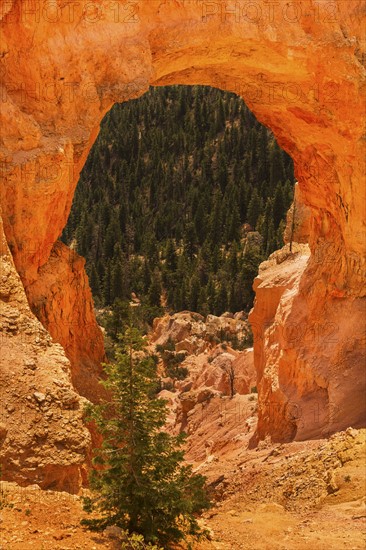 View of natural arch. USA, Utah, Bryce Canyon.
Photo : Daniel Grill