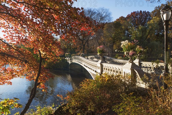 Footbridge over lake in Central Park. USA, New York State, New York City.
Photo : fotog