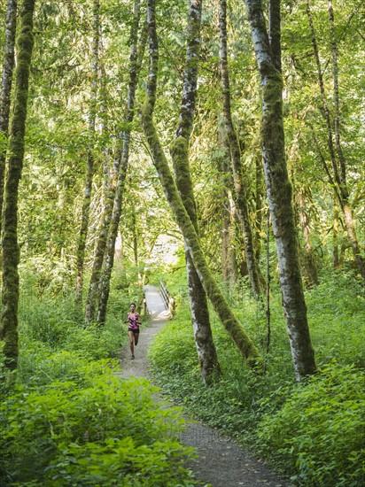 Young women jogging in forest. USA, Oregon, Portland.