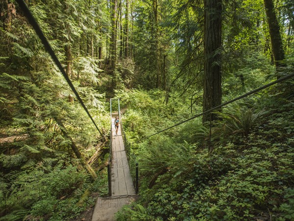 Young woman jogging in forest. USA, Oregon, Portland.