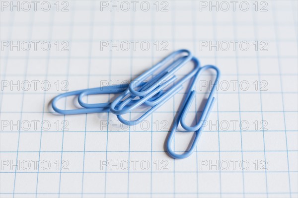 Paper clips.
Photo : Kristin Lee