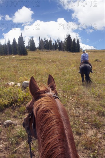 Woman riding horse. USA, Western USA, Colorado.
Photo : Kelly