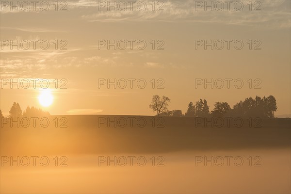 Sunrise over Wilamette Valley. USA, Oregon, Marion County.
Photo : Gary Weathers