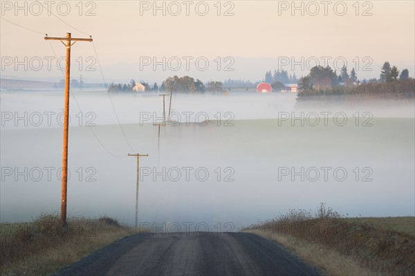 Fog over road. USA, Oregon, Marion County.
Photo : Gary Weathers