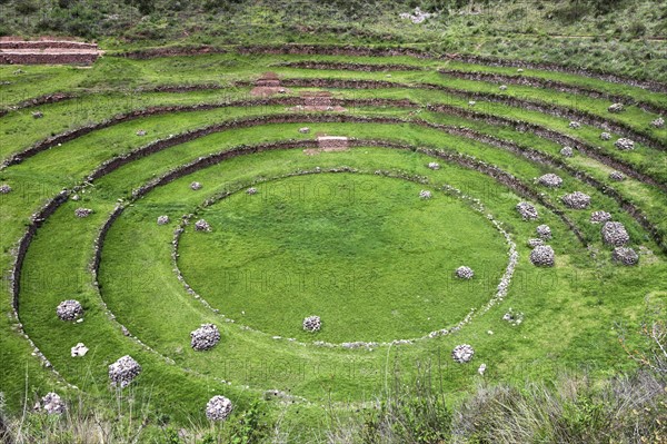 Incan ruins. Peru, Cuzco, Moray.
Photo : Henryk Sadura