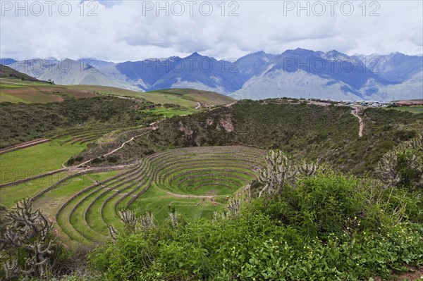 Incan ruins. Peru, Cuzco, Moray.
Photo : Henryk Sadura