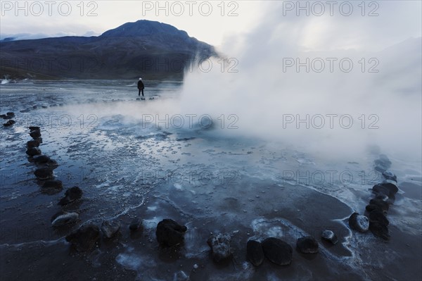 El Tatio Geyser field. Chile, Antofagasta Region, El Tatio Geyser field.
Photo : Henryk Sadura