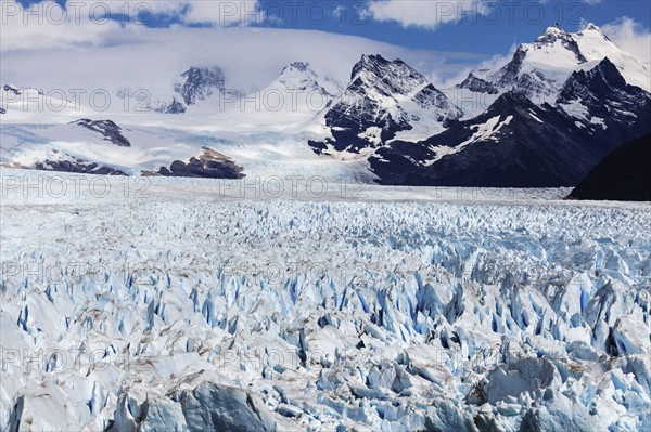 Spiked tops of glacier. Argentina, Los Glaciares National Park, Perito Moreno.
Photo : Henryk Sadura