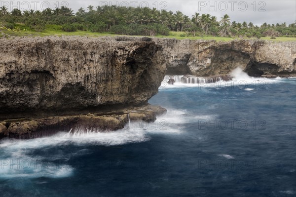 Cliffs on coast. Tonga, Tongatapu Island.
Photo : Henryk Sadura