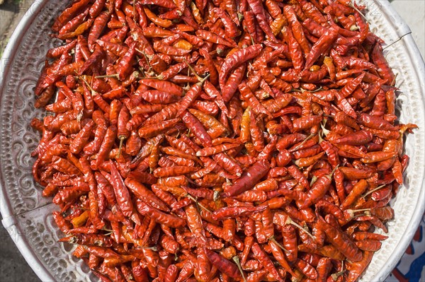 Chili peppers in bowl.
Photo : Noah Clayton