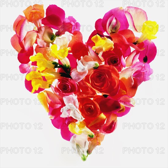 Studio shot of colorful petal heart.
Photo : Karen Schuld
