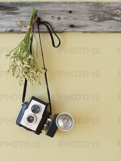 Studio shot of vintage camera and flowers.