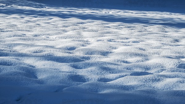 View of snow in sunlight. New York City, USA.