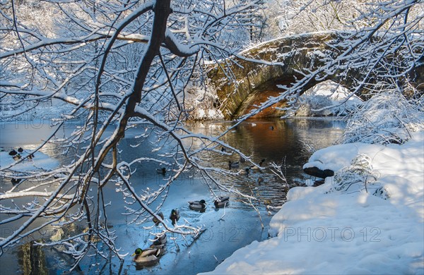 Bridge in Central Park in winter. New York City, USA.