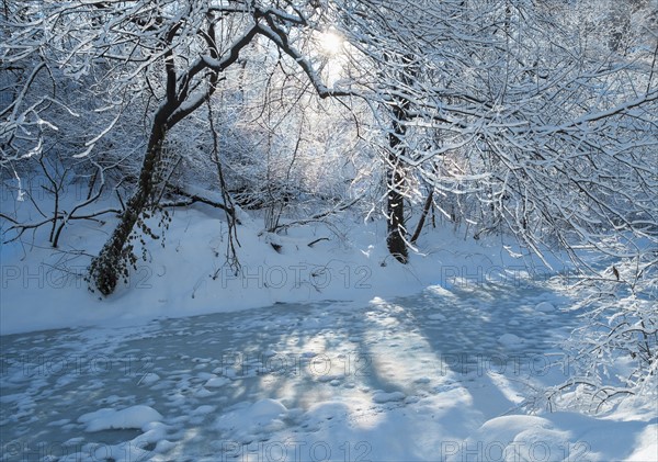 Frozen lake in Central Park. New York City, USA.