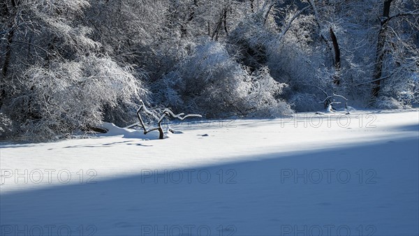 Frozen lake in Central Park. New York City, USA.