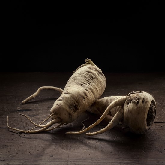 Studio shot of parsnips.