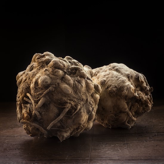 Studio shot of celeriac.