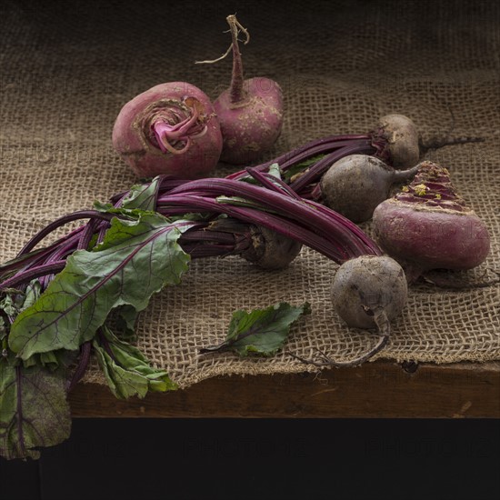 Studio shot of common beets.