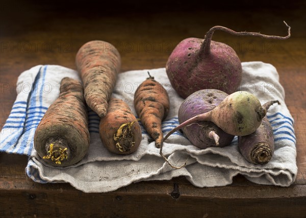 Studio shot vegetables.