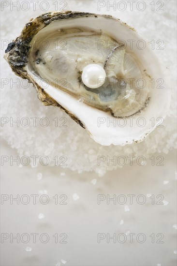 Studio shot of oysters and pearl.
Photo : Jamie Grill