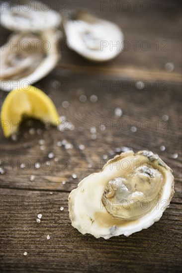 Studio shot of oysters.
Photo : Jamie Grill